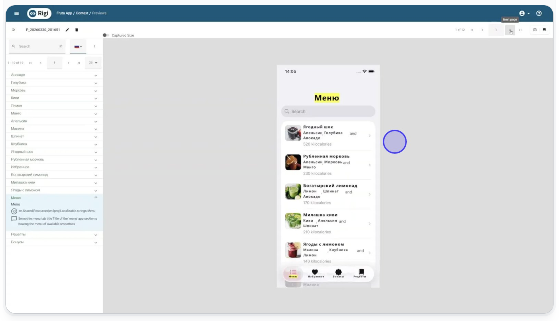 Rigi snapshot - translate and review