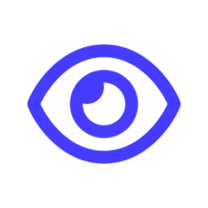descriptive icon - eye